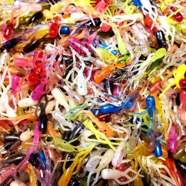 Assorted Colors - Moon Bug