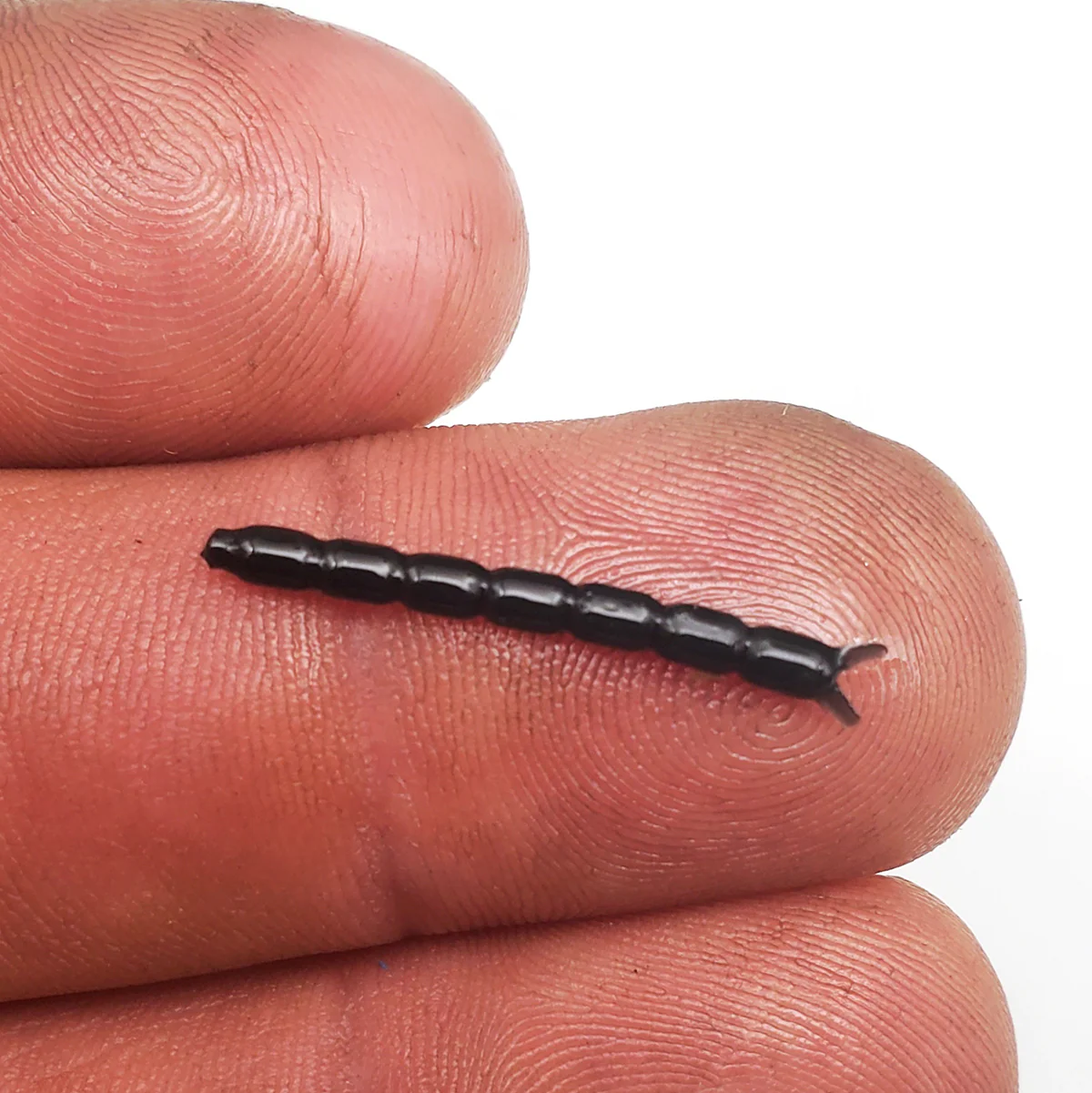 Black - Bloodworm 1" - Image 3