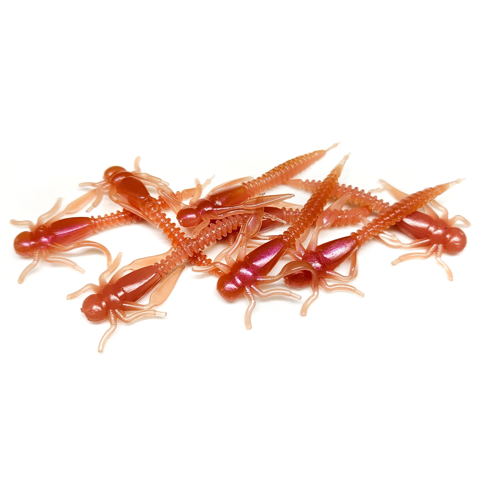 Earthworm - Boujee Bug