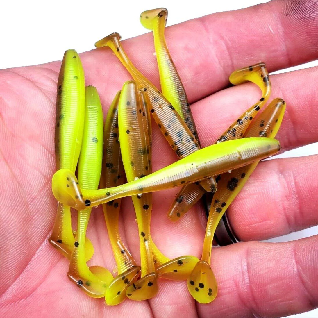 Pumpkin Chartreuse - Slim Shad Minnow - Image 2