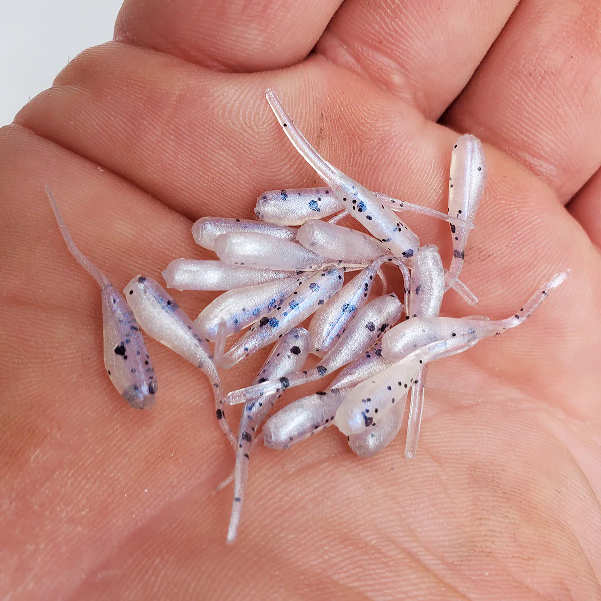 Polar Ice - 1" Micro Shad Stinger Tails - Image 2