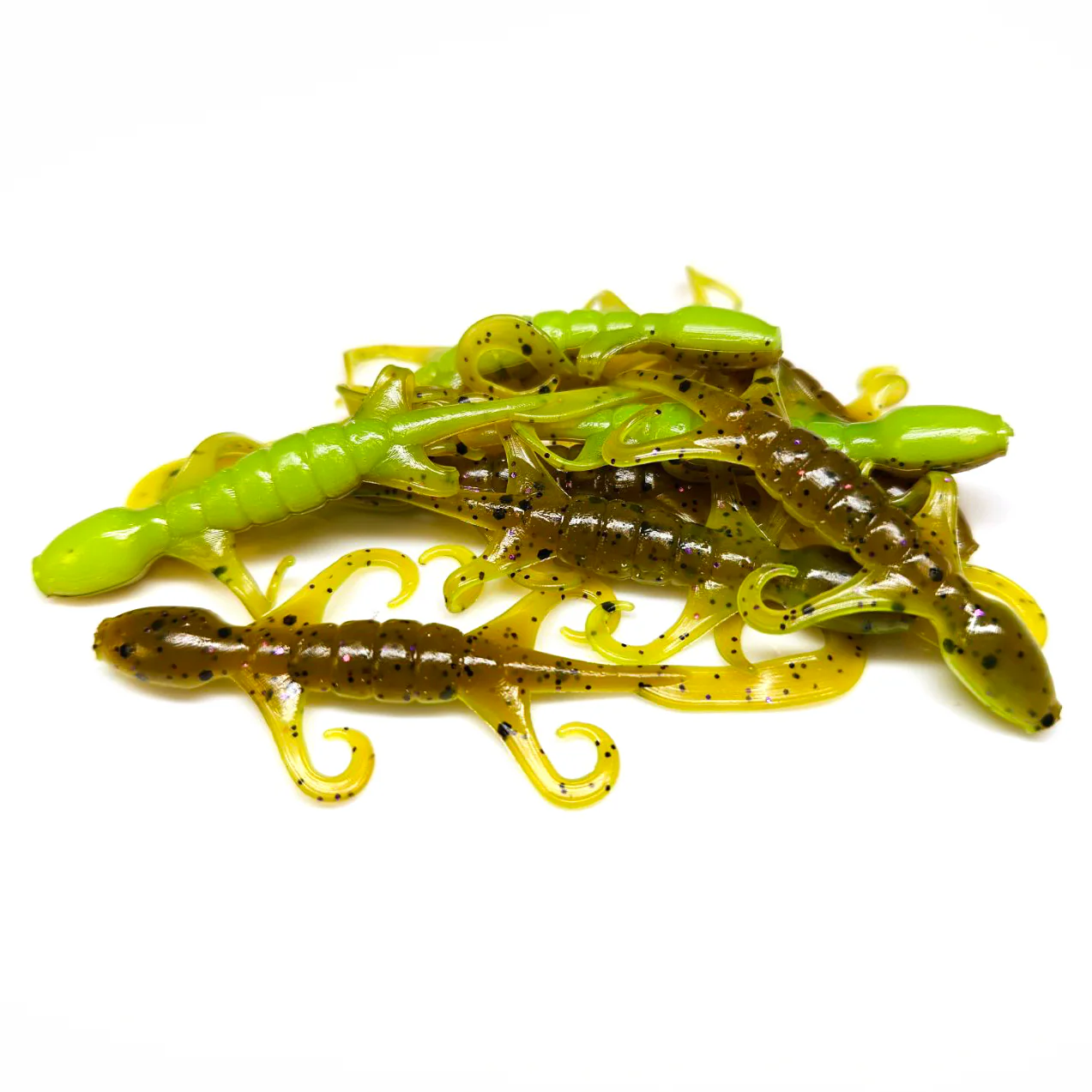 Pumpkin Chartreuse - Lil' Lizard
