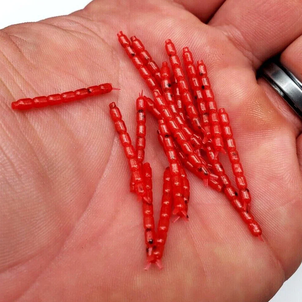 Red - Bloodworm 1" - Image 3